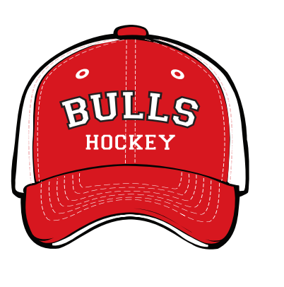 Bulls Era Cap